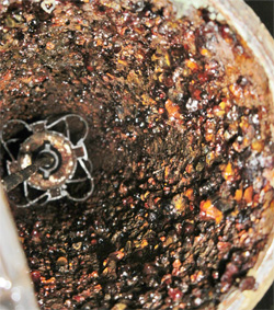 tankcam-diesel-inspection-03-inside-ATG-riser-pipe-looking-down-probe-250px